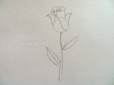 Рисунок хризантемы для детей простой (45 фото) » Рисунки для срисовки и не только