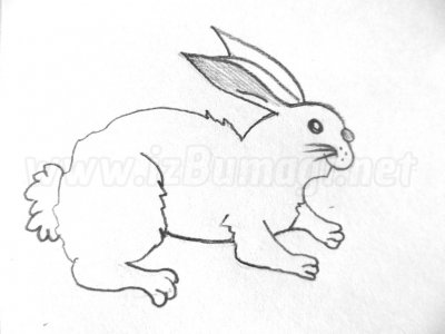 Как легко и просто нарисовать зайца карандашом поэтапно