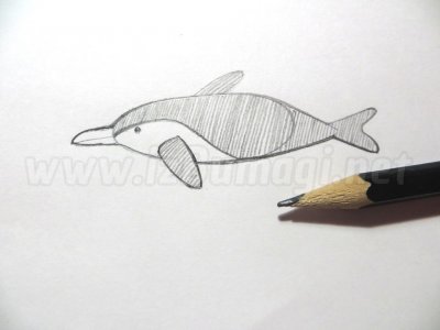Как нарисовать дельфина ребенку