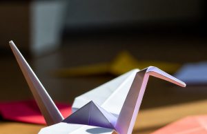 حقائق مثيرة للاهتمام حول الأوريغامي حقائق مثيرة للاهتمام حول الأوريغامي