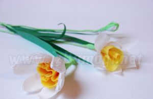 Oluklu kağıt nergisler