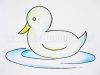 Como desenhar um pato em um lago, passo a passo
