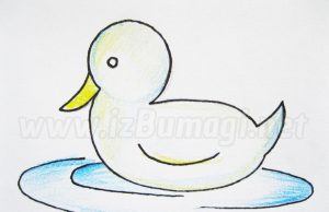 Jak nakreslit kachnu v rybníku krok za krokem