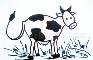 Jak narysować krowę