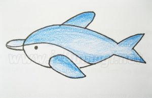 Як намалювати дельфіна - урок для дітей