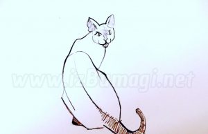 Bagaimana cara menggambar kucing dengan pensil sederhana?