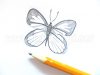 Jak nakreslit motýla tužkou?