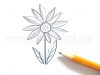 Zeichnen einer schönen Blume mit Bleistift