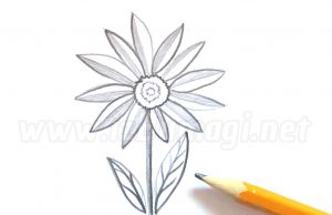 Rysowanie pięknego kwiatu ołówkiem