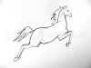 Como você aprende a desenhar um cavalo?