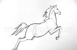 ¿Cómo se aprende a dibujar un caballo?