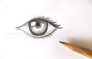 Menggambar mata manusia yang realistis