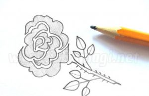 Lernen, wie man eine Rose zeichnet