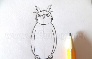Cómo dibujar un búho con un lápiz