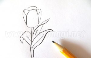 Como desenhar uma tulipa passo a passo