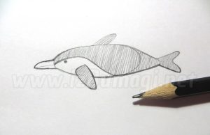 Narysuj samodzielnie delfina - lekcja rysowania ołówkiem krok po kroku