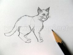 Dibujar un gato en movimiento