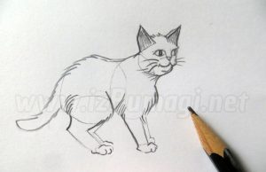 Dessiner un chat en mouvement