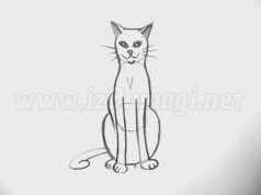 Un gato con mal genio