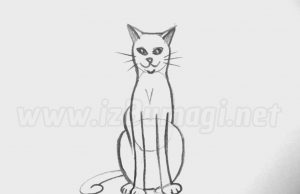 Кошка с характером