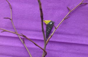 Etourneau en origami