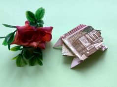 Костенурка Manigami