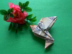 Голуб манігамі