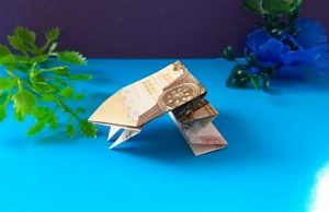 Manigami Jumping Frog - Ustalık Sınıfı