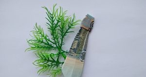 Вратовръзка Manigami