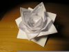 Papierowy Lotos Wodny