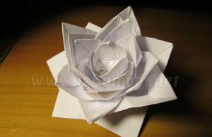 Lótus de água de papel