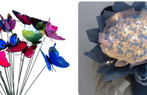 باقة من الفراشات بيديك