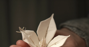 😫 Why does paper tear when folding origami and how to fix it?